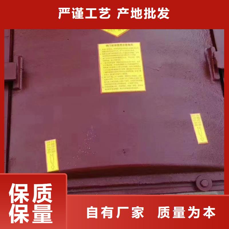 平面铸铁闸门线条优美