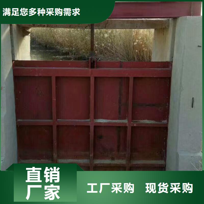 手自一体铸铁镶铜闸门定制加工致电咨询