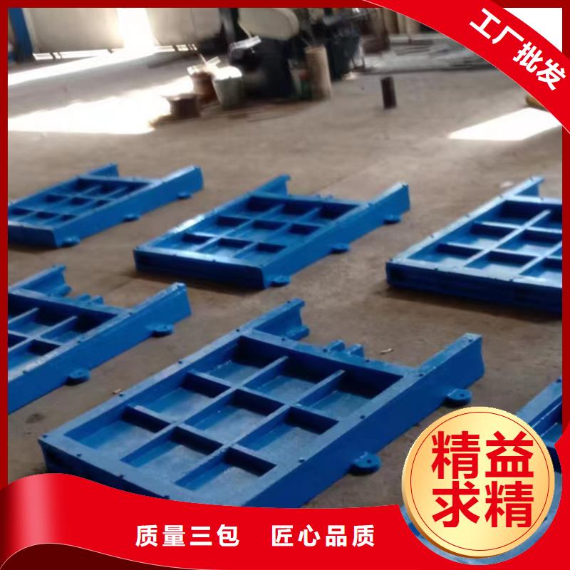 双向铸铁闸门批发