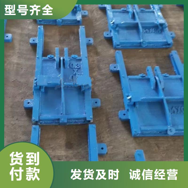 ZMF铸铁镶铜方闸门制造厂
