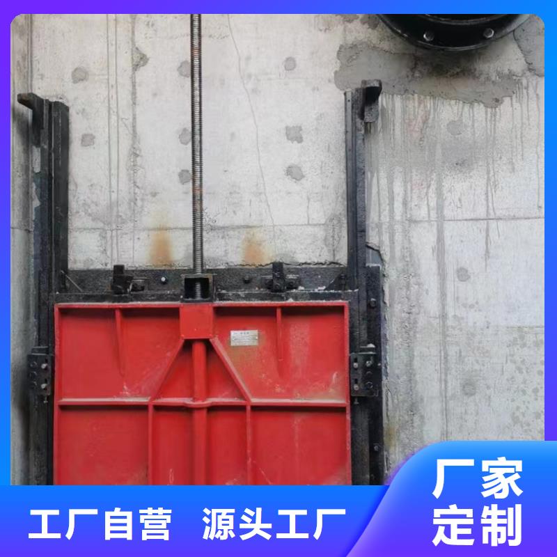 双向铸铁闸门批发