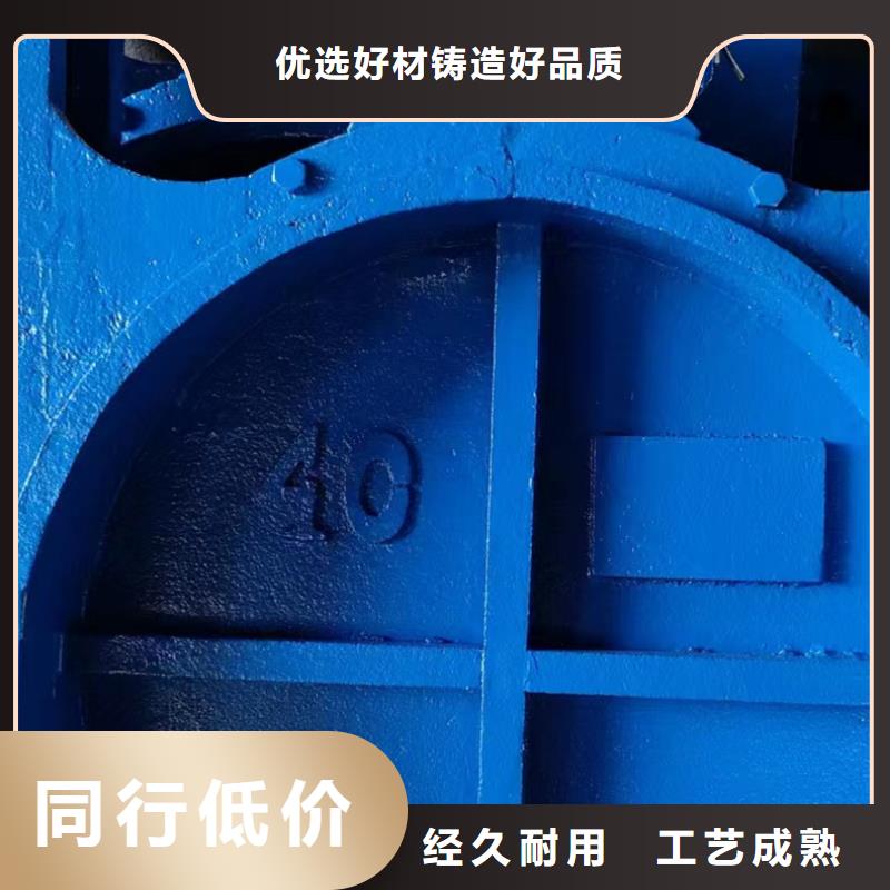 水库铸铁闸门网上销售保障