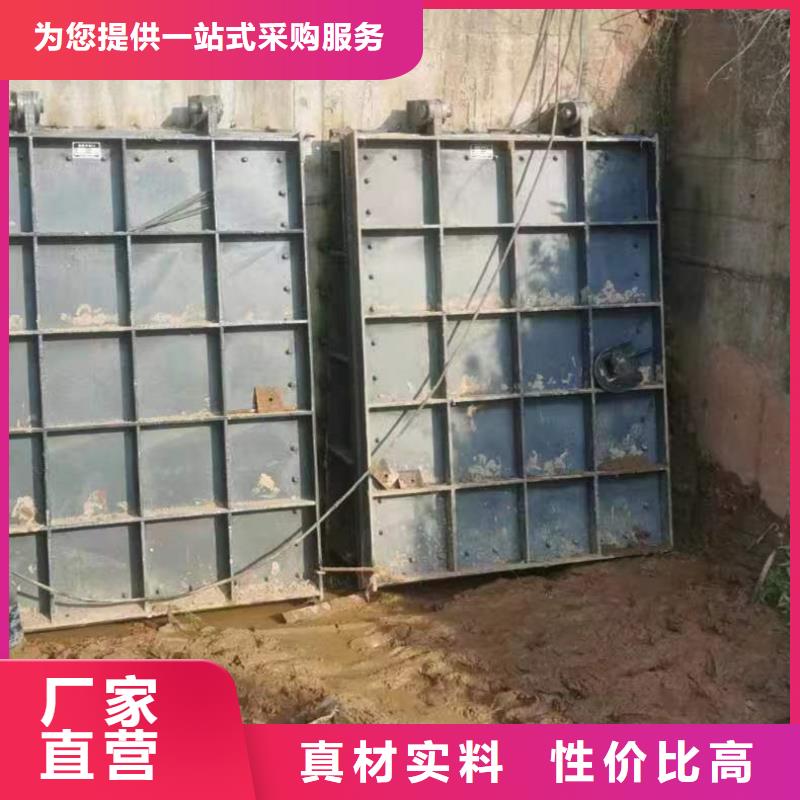 单向止水铸铁闸门制造厂家直接发货