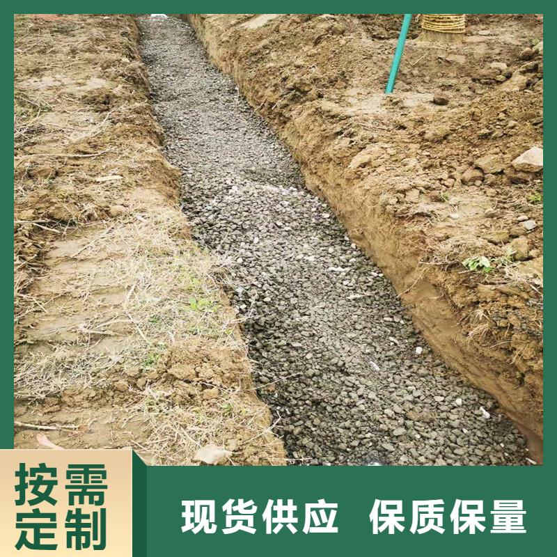 渗排水网垫现货充足厂家