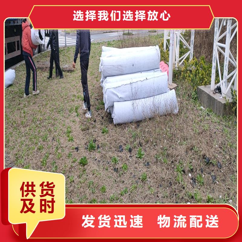 排水盲管-止水铜片厂家真材实料加工定制