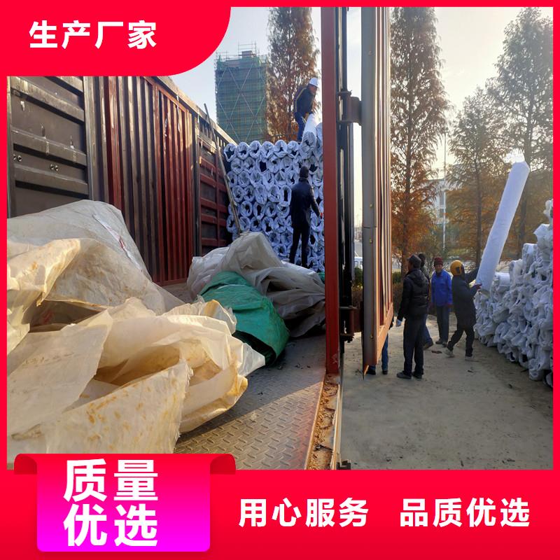 屯昌县速排龙货源充足价格