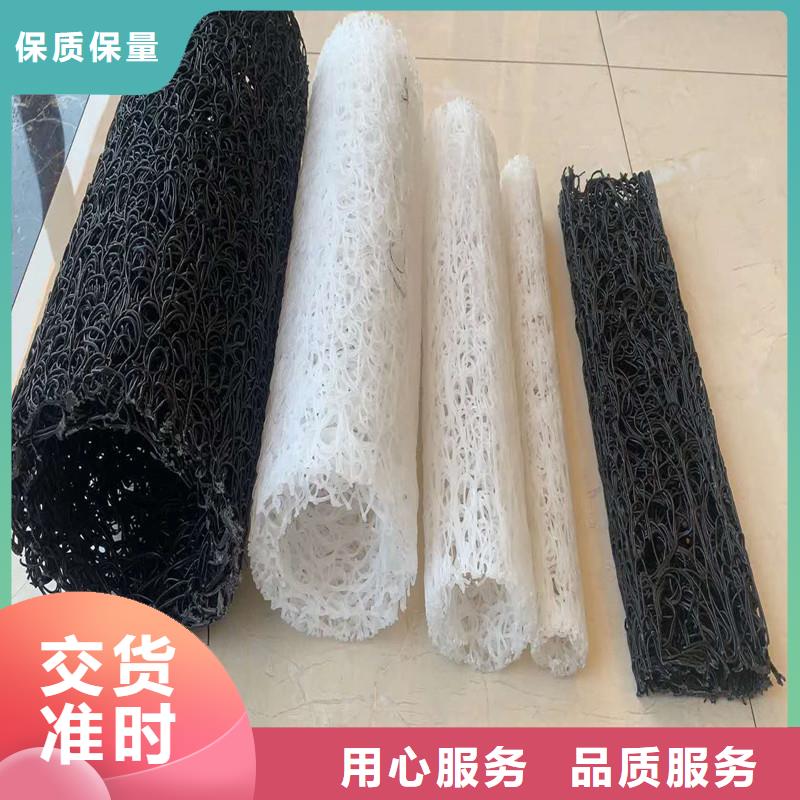渗排水网垫现货充足厂家