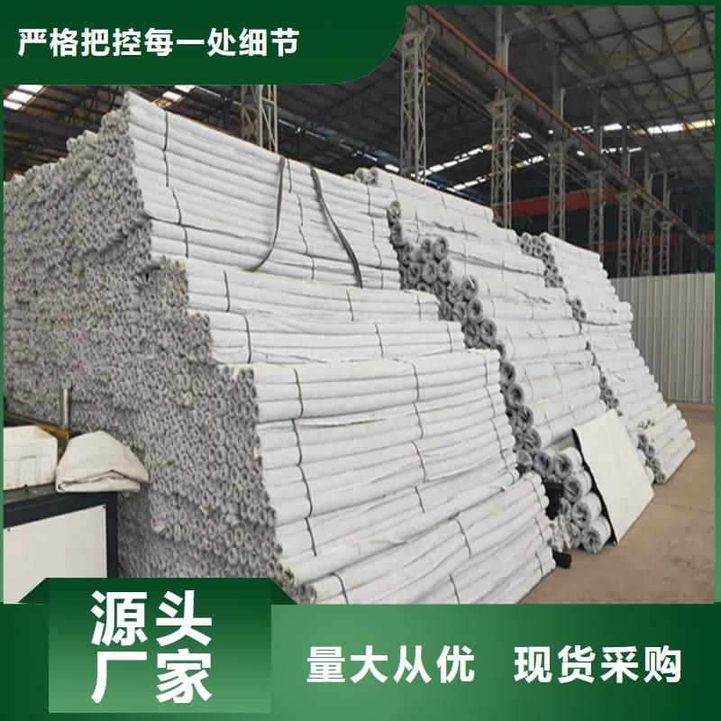 渗排水网垫现货充足厂家