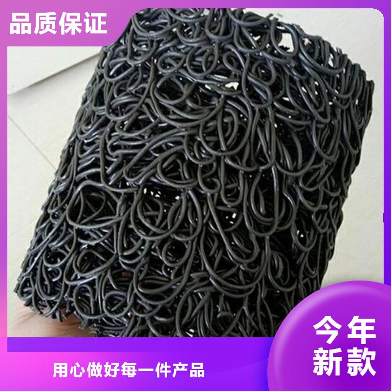 屯昌县速排龙货源充足价格