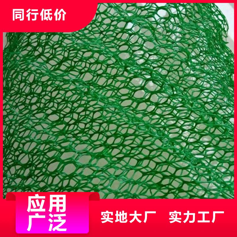 【三维植被网_铜止水专心专注专业】