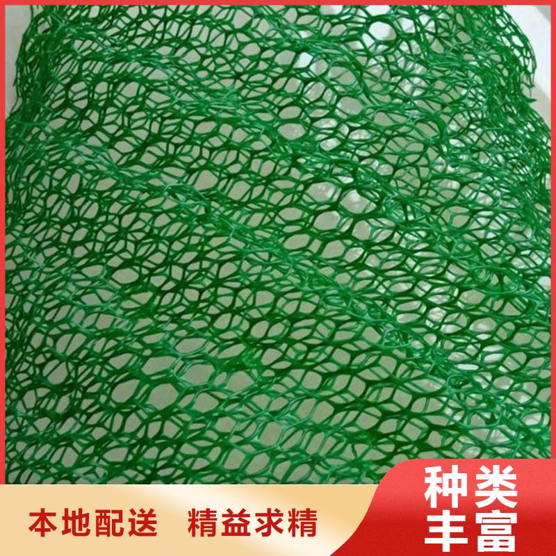 三维植被网螺旋形聚乙烯醇纤维厂家直销大量现货