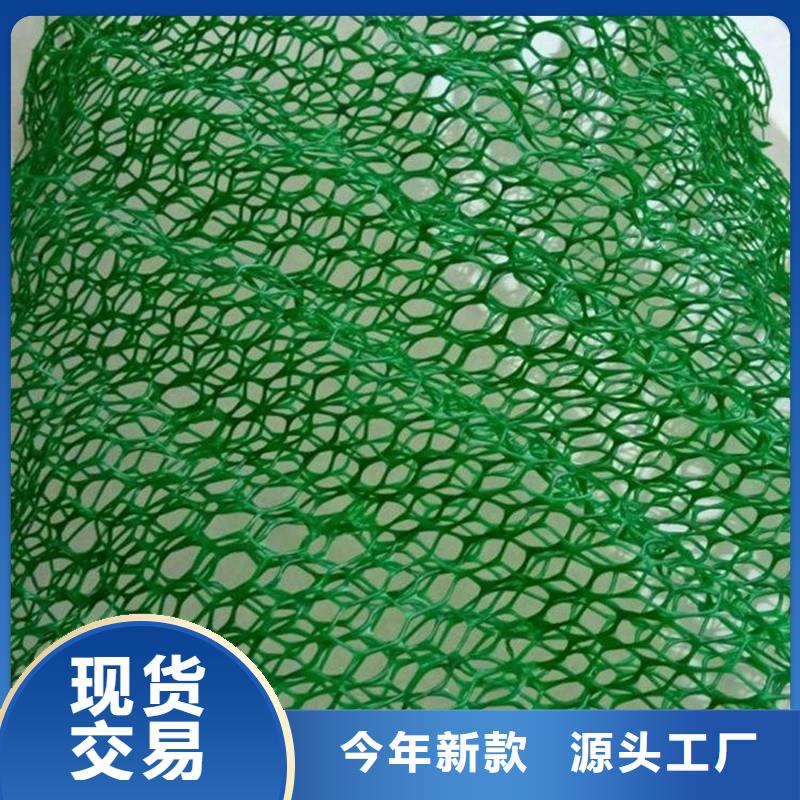 三维植被网_土工布为您精心挑选