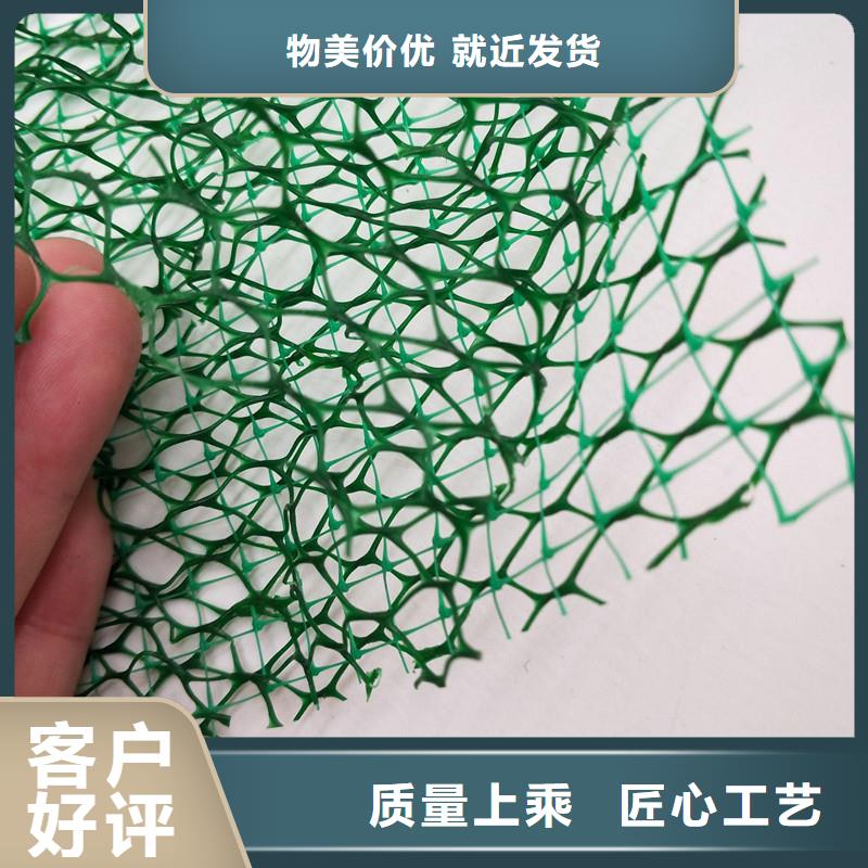 【三维植被网聚丙烯单丝纤维厂家直营】