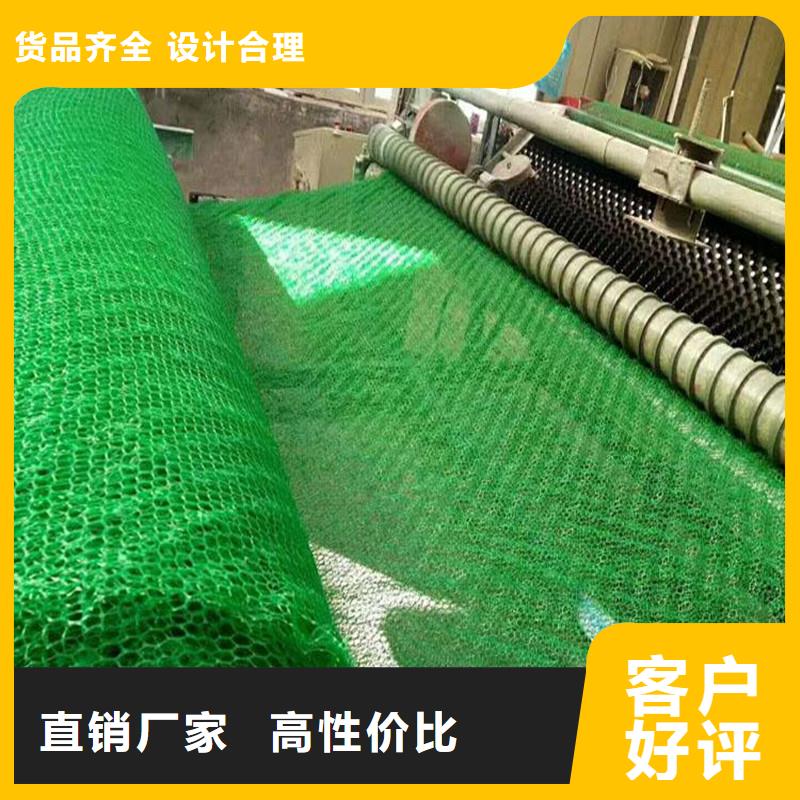 三维植被网渗水盲管口碑好实力强