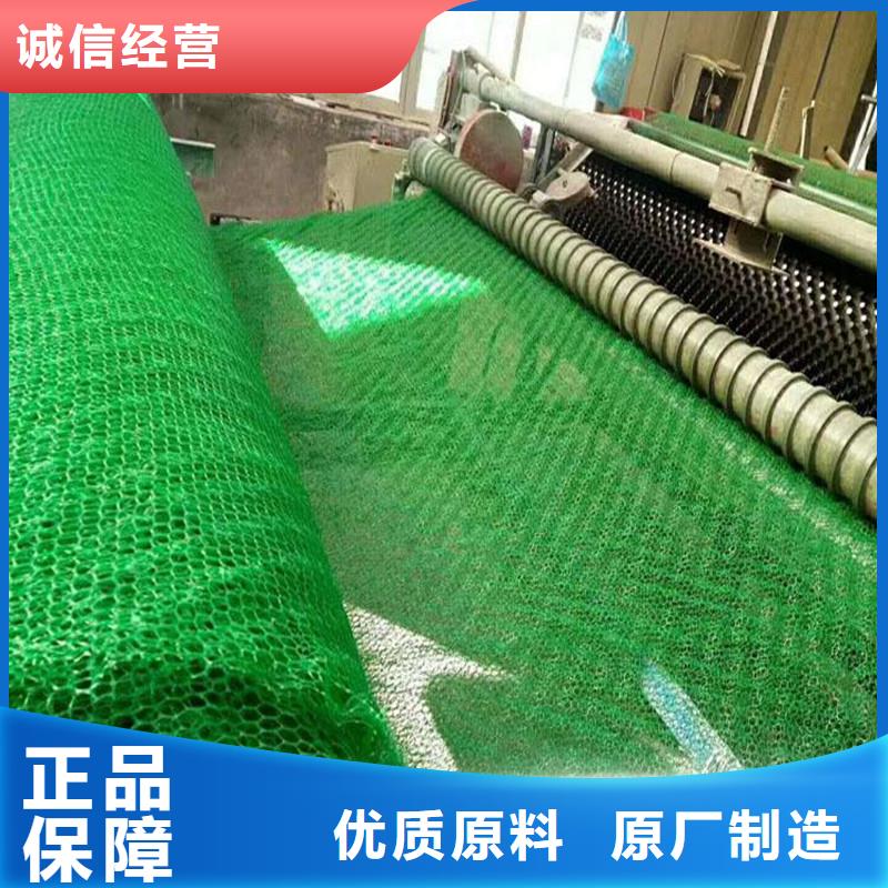 【三维植被网止水铜片拒绝差价】