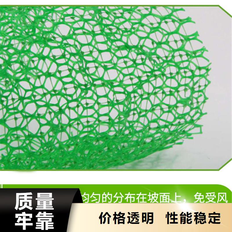 三维植被网钢纤维海量库存