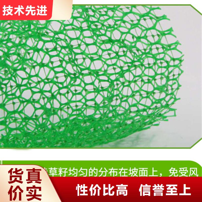三维植被网螺旋形聚乙烯醇纤维厂家直销大量现货