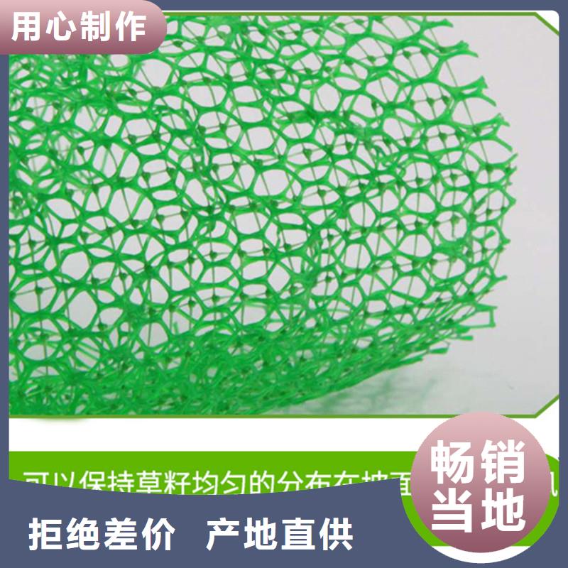 【三维植被网止水铜片厂家厂家售后完善】