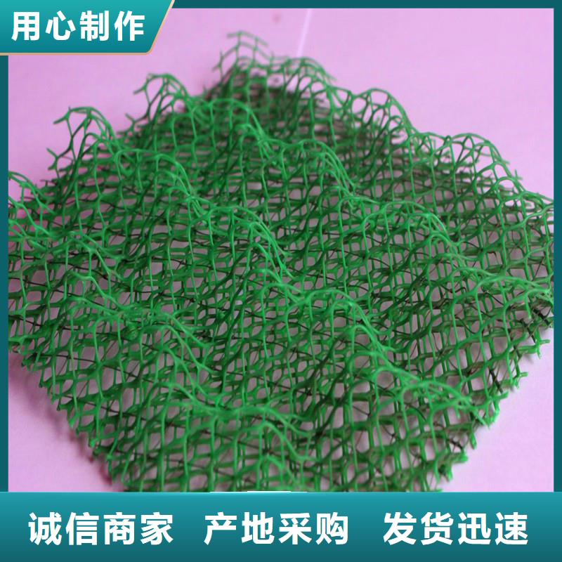 【三维植被网聚丙烯纤维严选用料】
