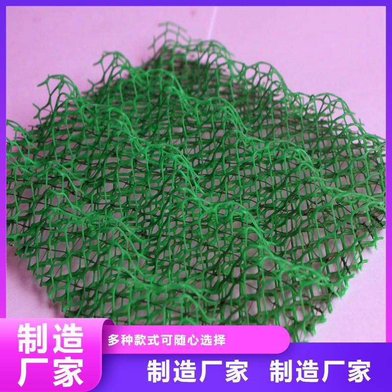 供应批发三维土工网垫图片-品牌