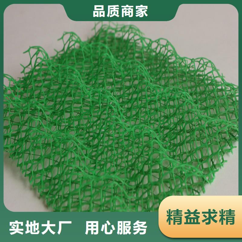三维植被网,止水铜片一站式厂家