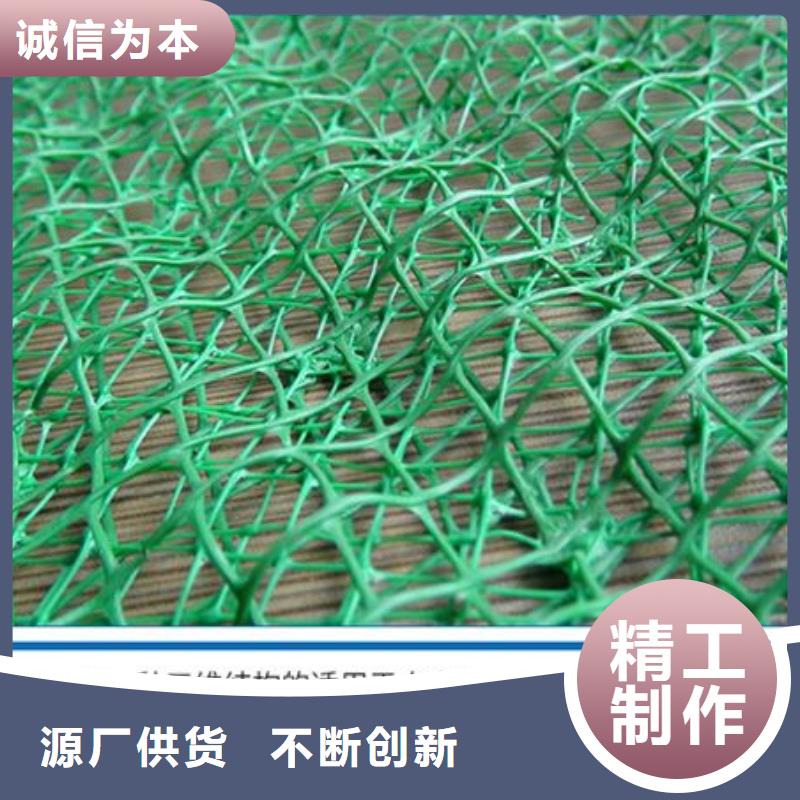 三维植被网土工膜产地采购
