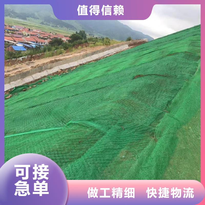 三维植被网_土工布为您精心挑选