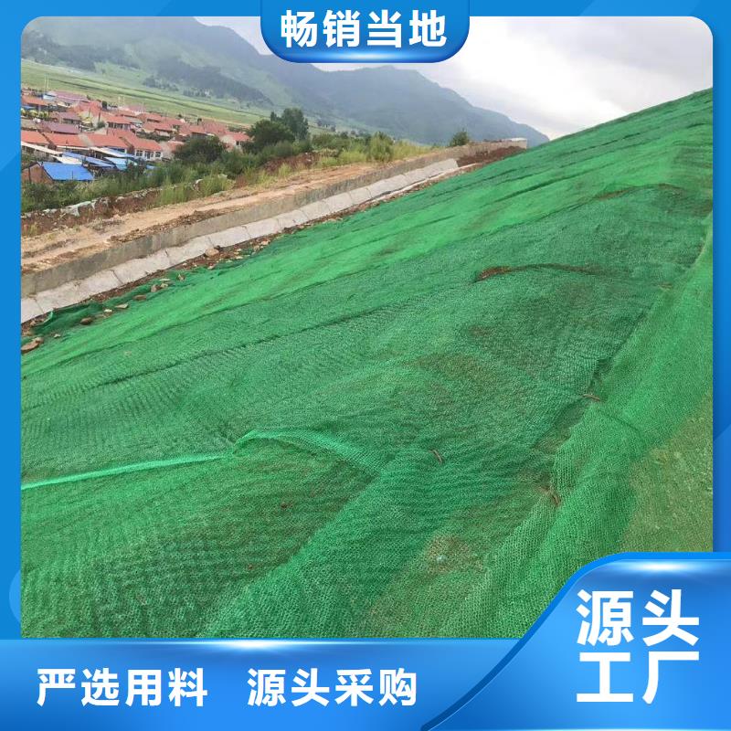 【三维植被网_铜片止水本地配送】
