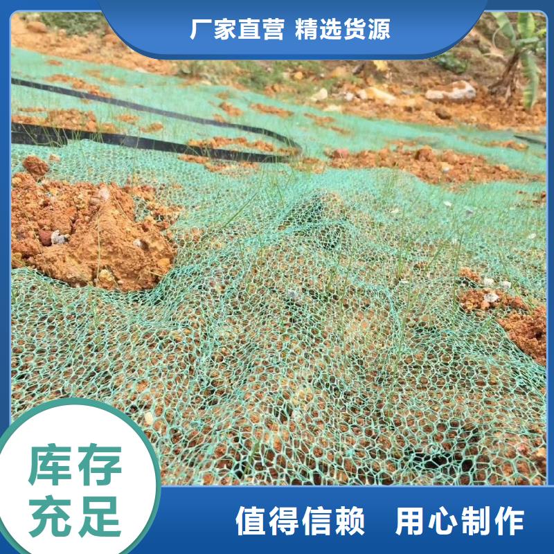 【三维植被网聚丙烯纤维严选用料】