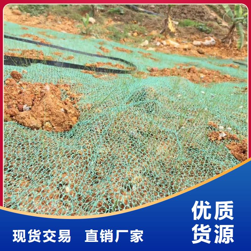 三维植被网_抗裂纤维厂家多种场景适用