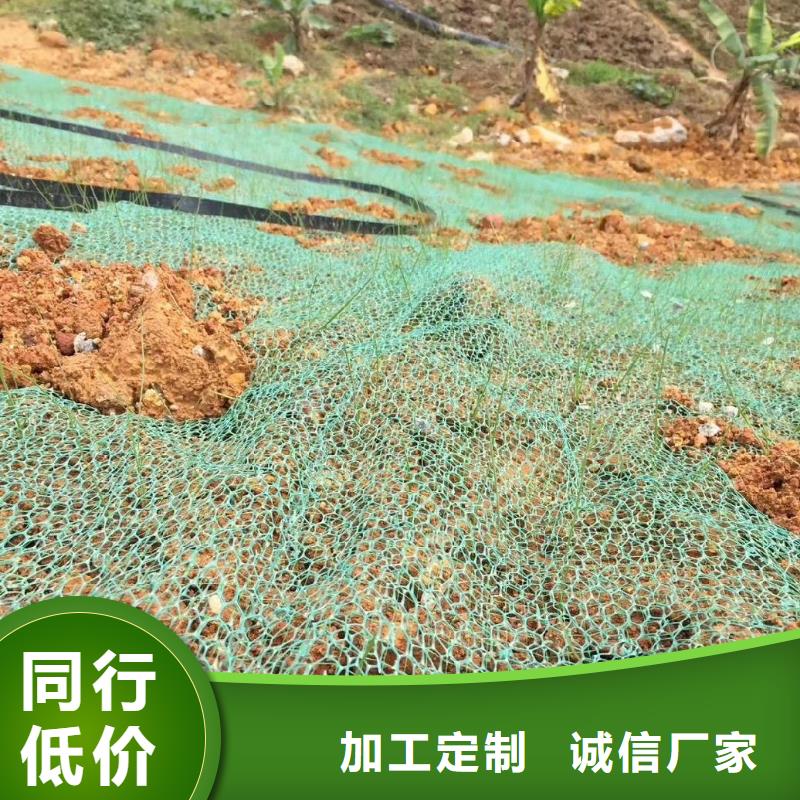 【三维植被网_铜止水专心专注专业】