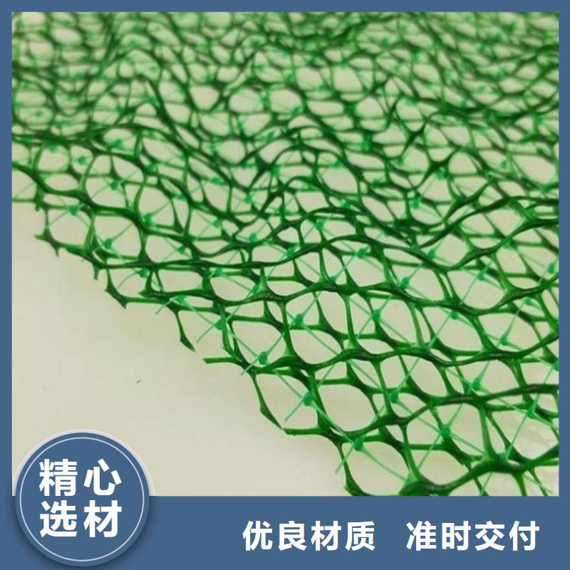 【三维植被网聚丙烯网状纤维支持批发零售】