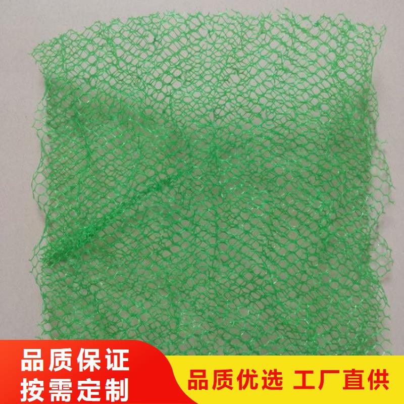 【三维植被网_铜片止水本地配送】