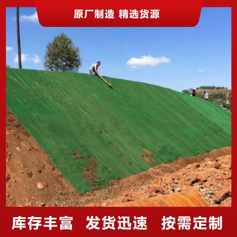 三维植被网抗裂纤维专注细节专注品质