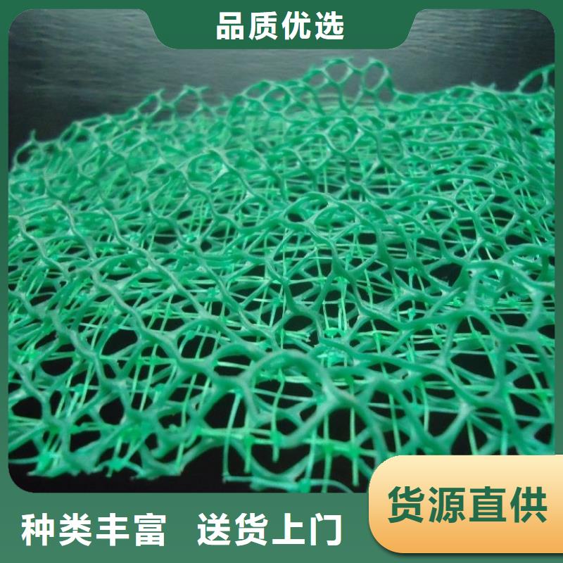三维植被网土工格栅实力工厂