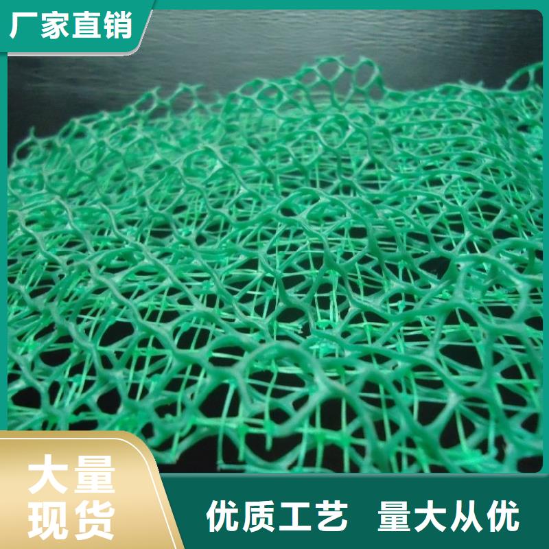 【三维植被网聚丙烯纤维生产厂家现货采购】