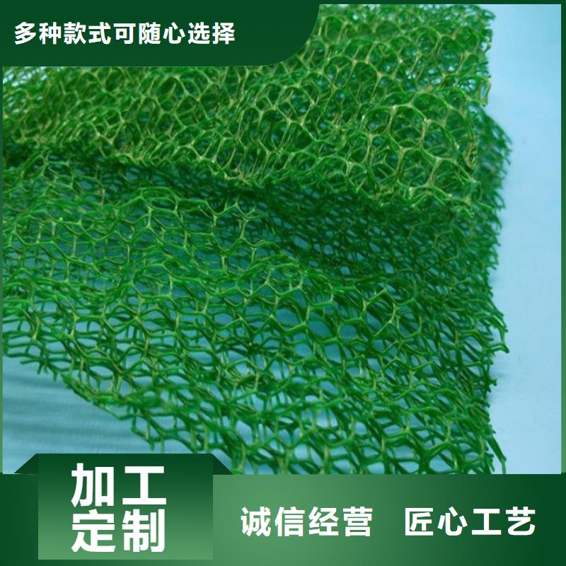 三维植被网_抗裂纤维厂家多种场景适用