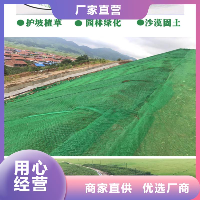 三维植被网,沥青木丝板好产品不怕比