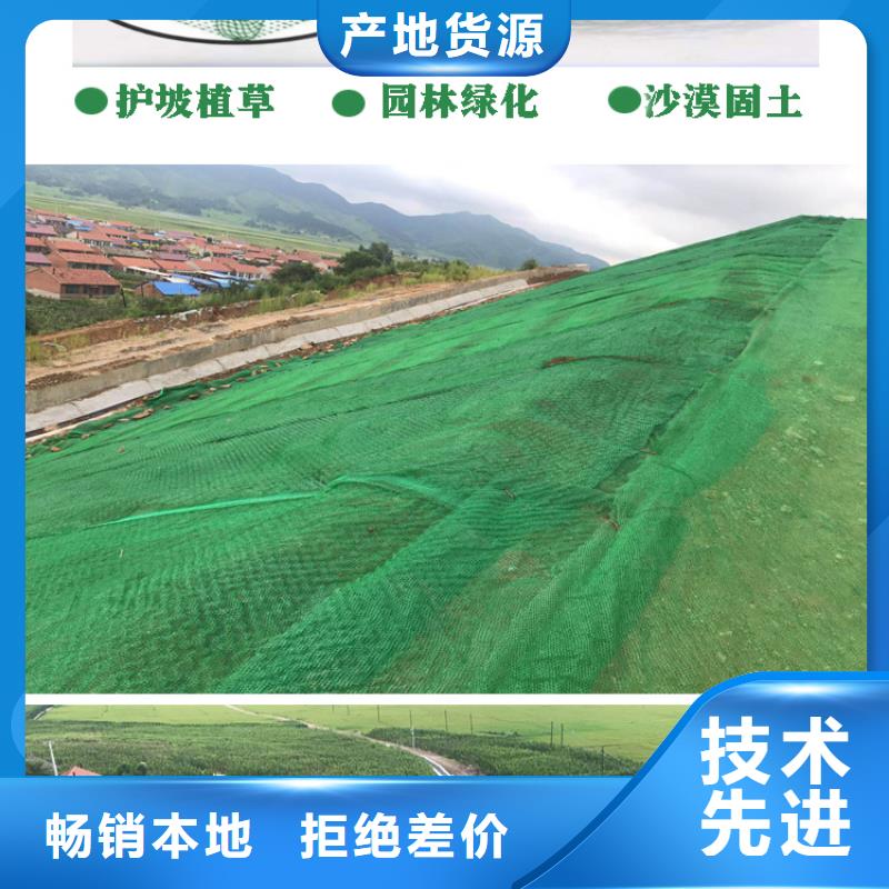 三维植被网止水铜片厂家欢迎来电询价