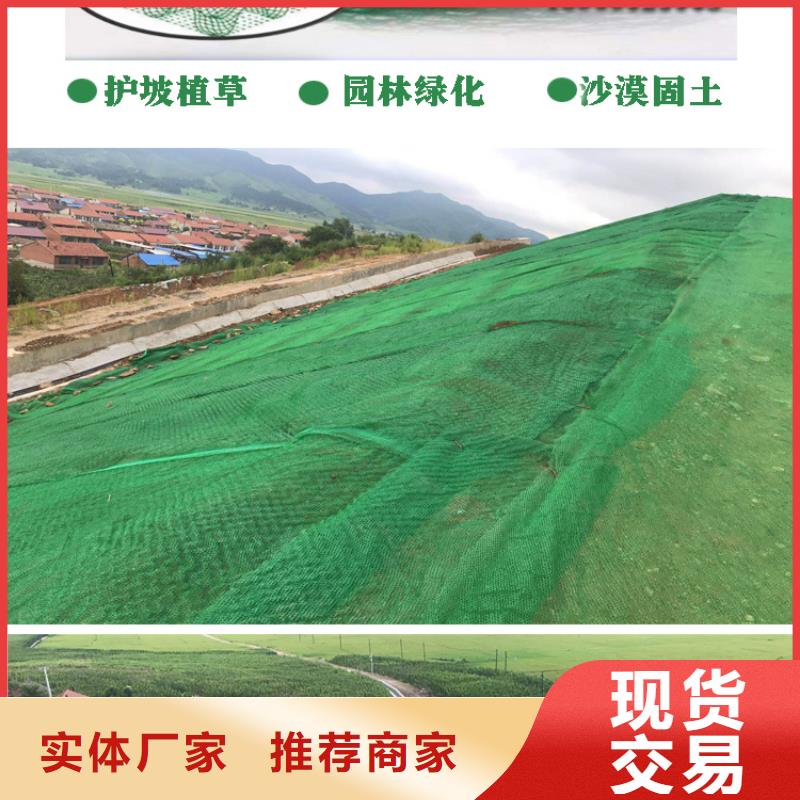 三维植被网聚乙烯醇纤维实力厂家