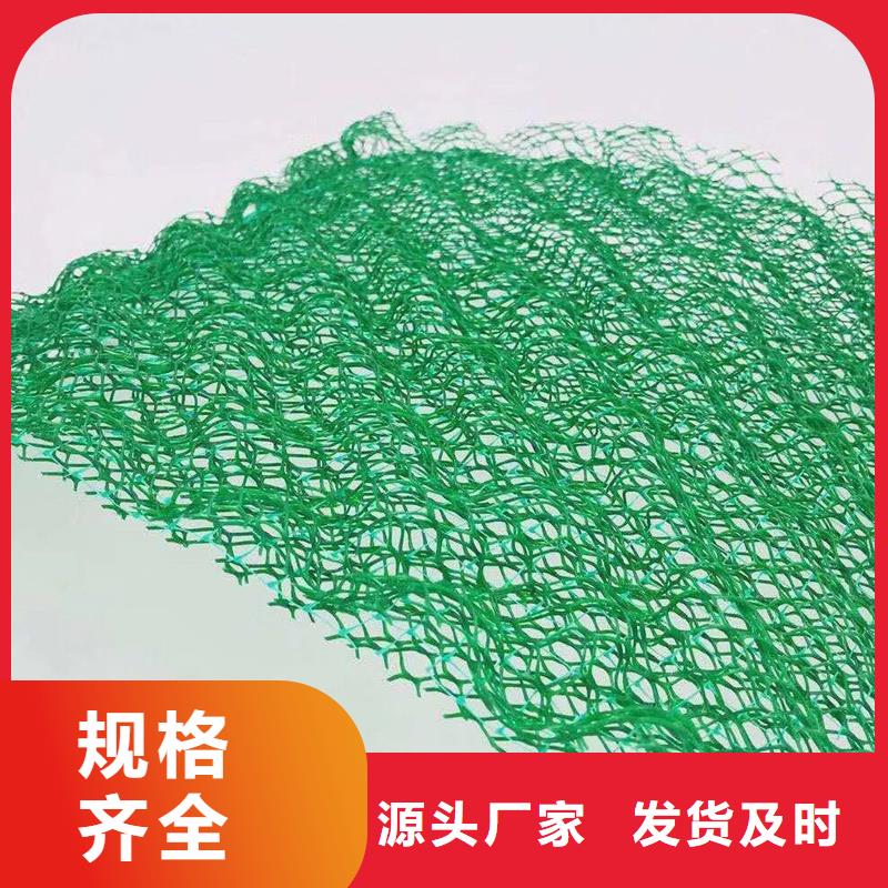 三维植被网土工布现货批发