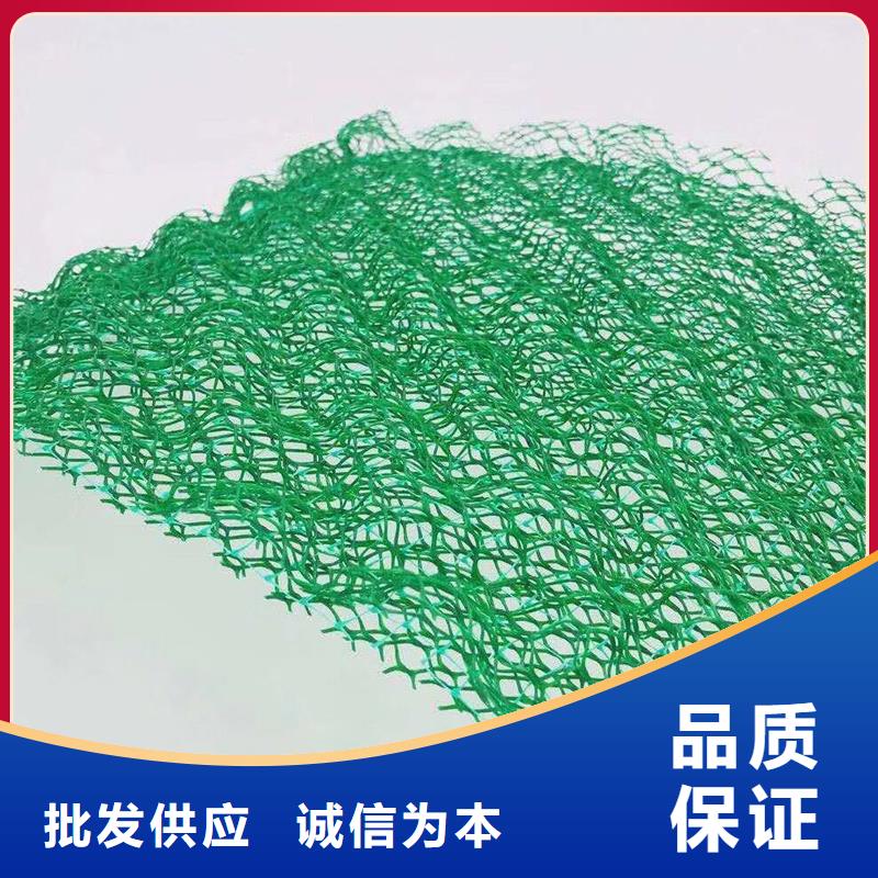 三维植被网聚乙烯醇纤维厂家厂家直营