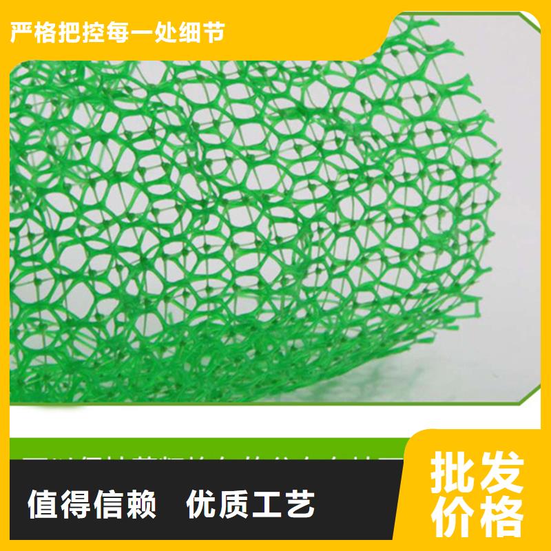 三维植被网土工格栅实力工厂
