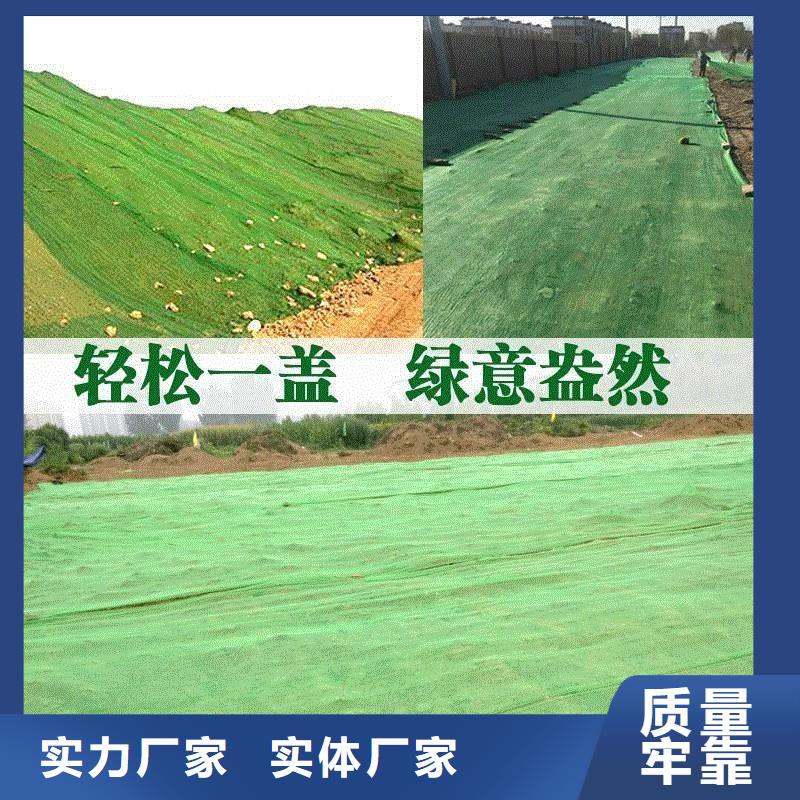 三维植被网-止水铜片厂家厂家规格全