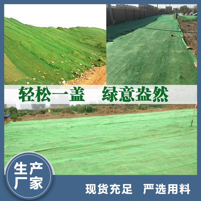 三维植被网聚乙烯醇纤维实力厂家