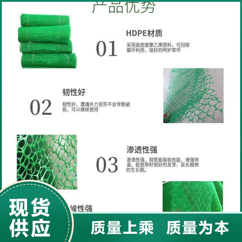 三维植被网土工席垫一站式厂家