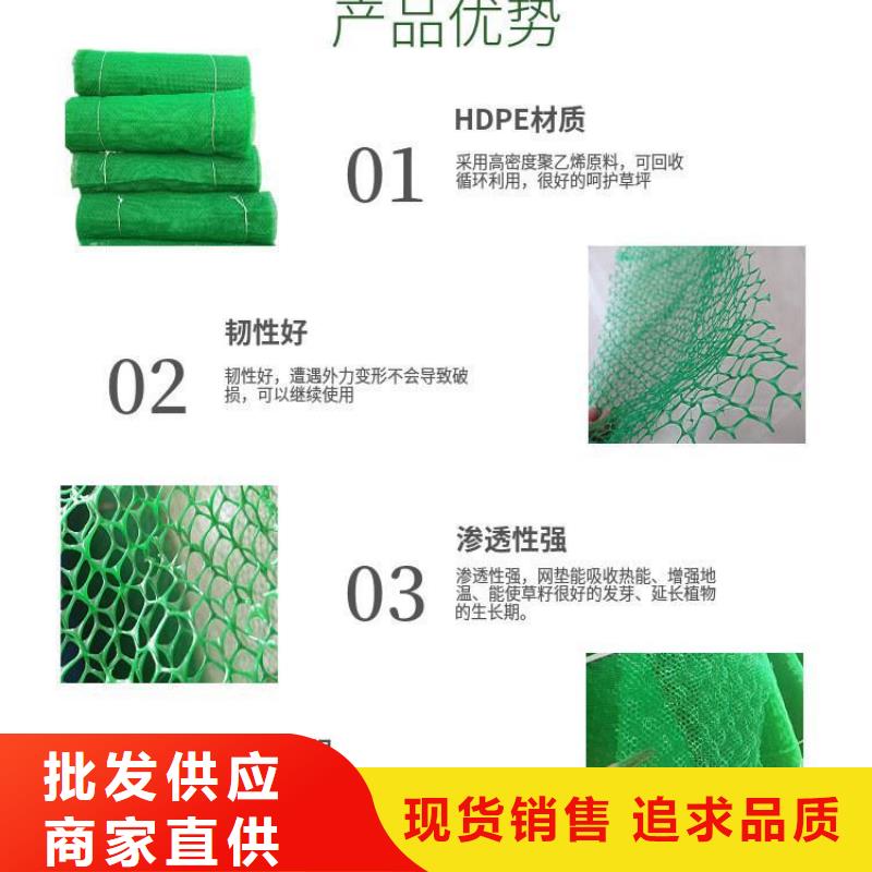 三维植被网土工膜产地采购