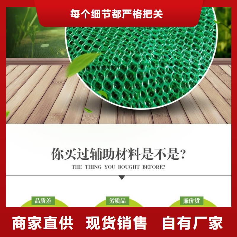 三维植被网_止水铜片厂家直销售后完善