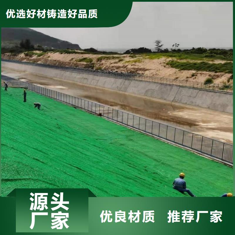 【三维植被网止水紫铜片卓越品质保障】