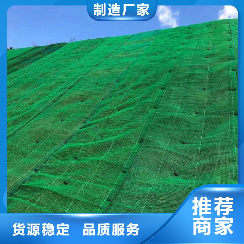 三维植被网-止水铜片厂家厂家规格全